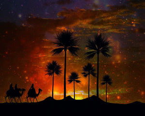 Arabian Nights Fragrance Oil