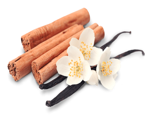 Cinnamon Vanilla Fragrance Oil