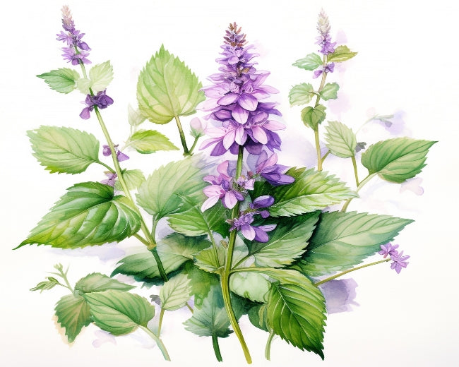 Floral Patchouli Fragrance Oil