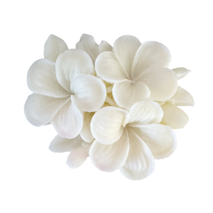 (New) Frangipani Silicone Mould