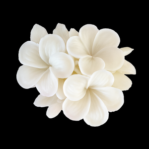 (New) Frangipani Silicone Mould