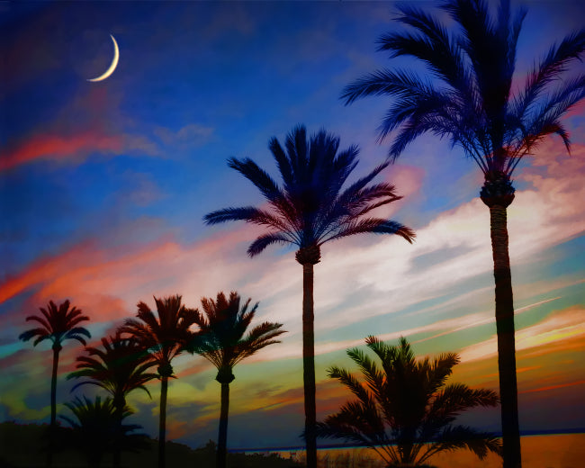 Sonoma Sunset Fragrance Oil