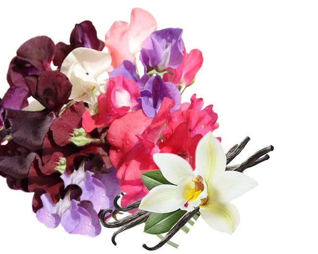 Sweet Pea & Vanilla Fragrance Oil