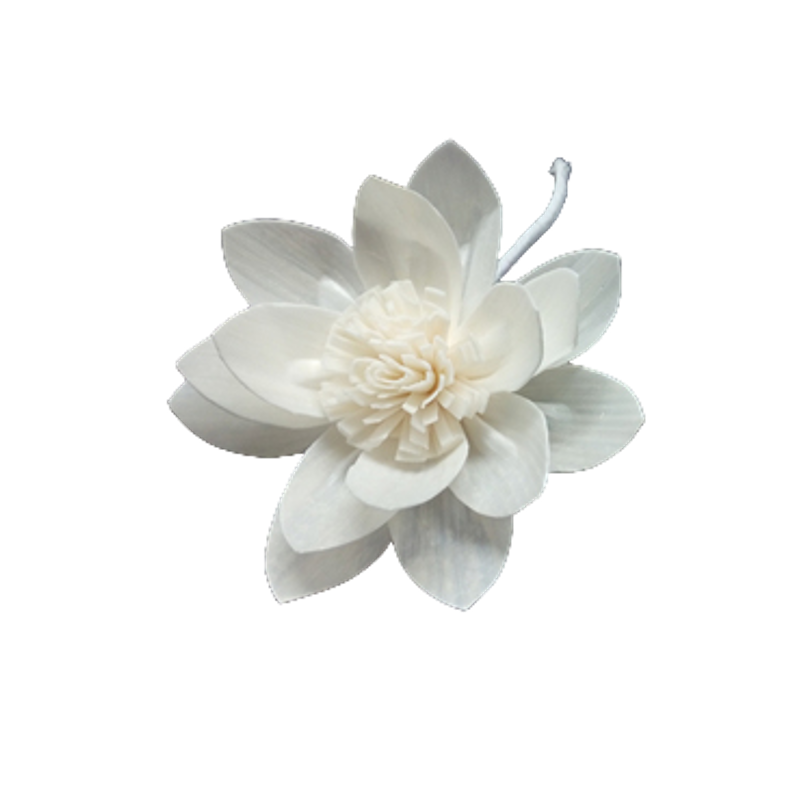 Water Lily Sola Flower 8cm