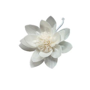 Water Lily Sola Flower 8cm