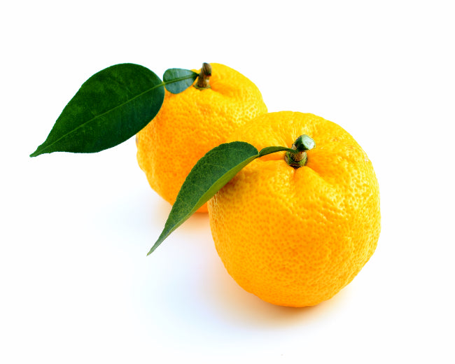 Yuzu Fruit Fragrance Oil