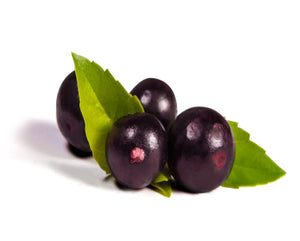 Acai Blossom Fragrance Oil