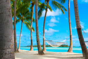 Aloha Breeze Fragrance Oil