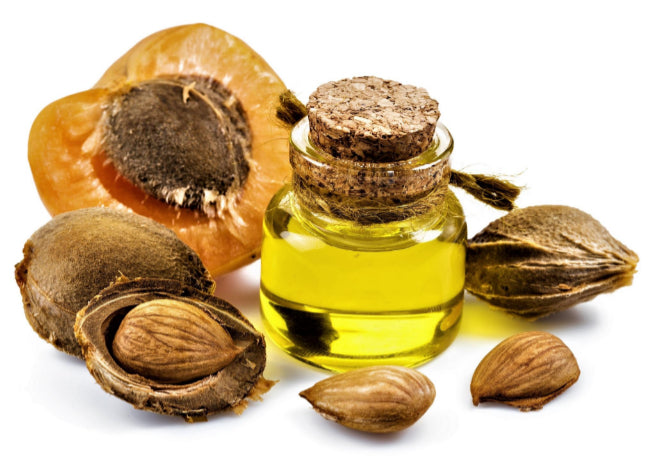 Apricot Kernel Oil