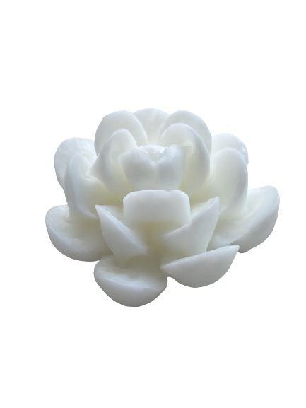 Cactus 1 Silicone Mould