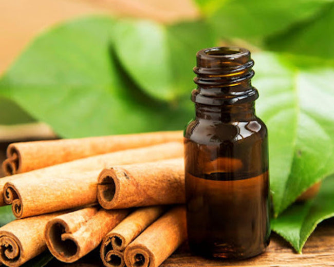 Cinnamon Leaf Essential Oil