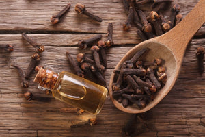 Clove Bud Essential Oil