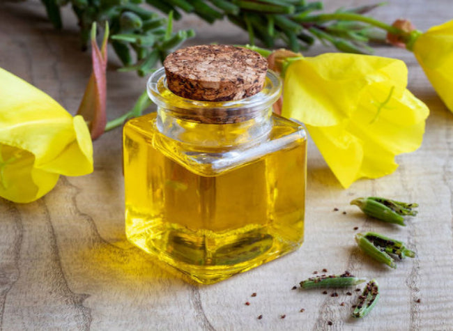 Evening Primrose Oil