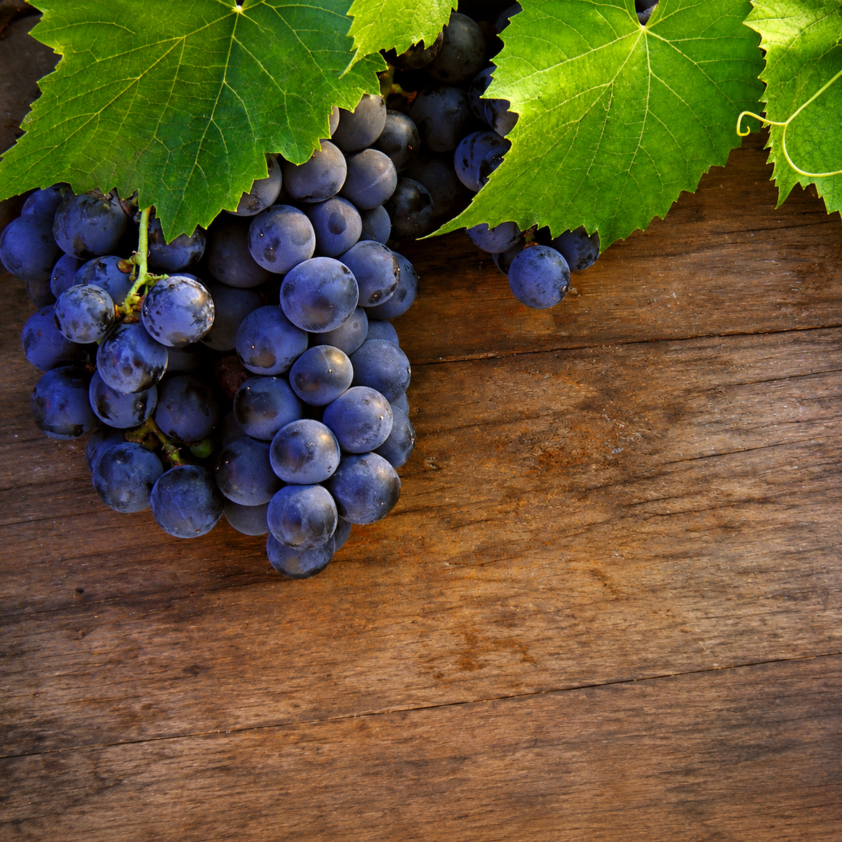Amazonian Grape Fragrance Oil