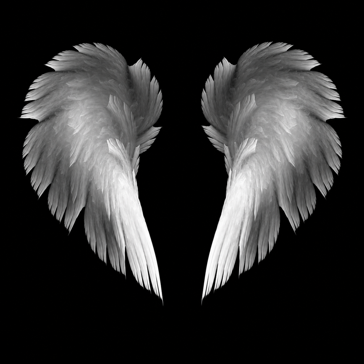 Angel Wings Fragrance Oil