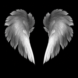 Angel Wings Fragrance Oil