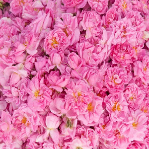 Bulgarian Rose Fragrance Oil