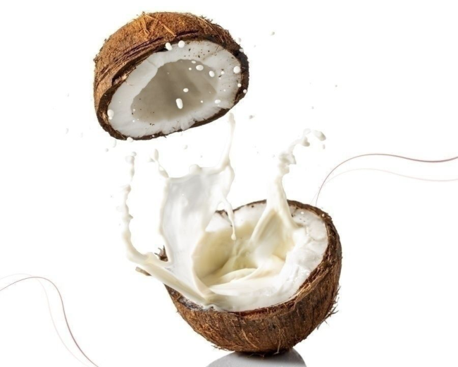 Coconut Lava Fragrance Oil