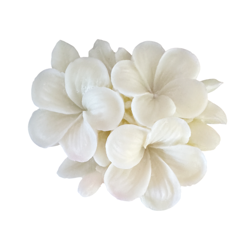 (New) Frangipani Silicone Mould