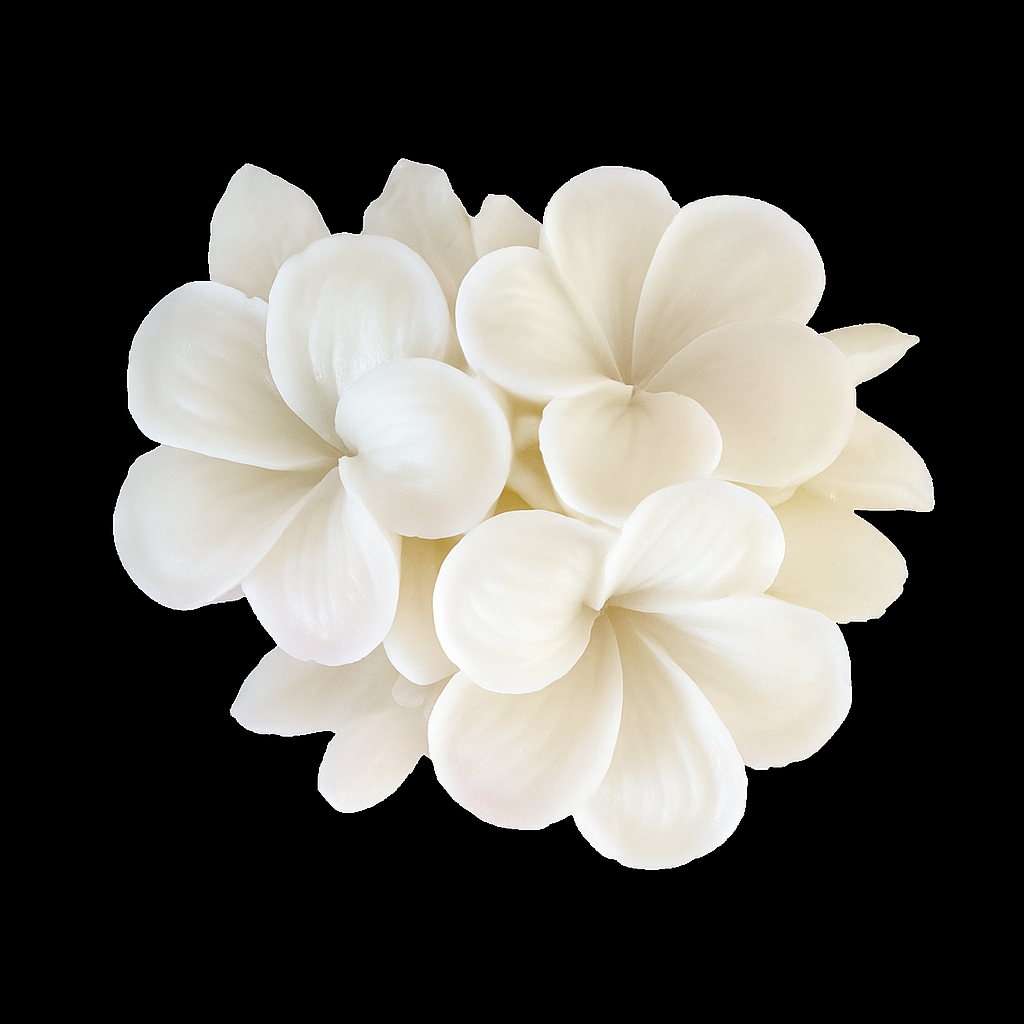 (New) Frangipani Silicone Mould