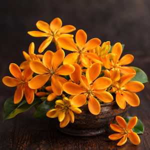 Golden Bouquet Fragrance Oil
