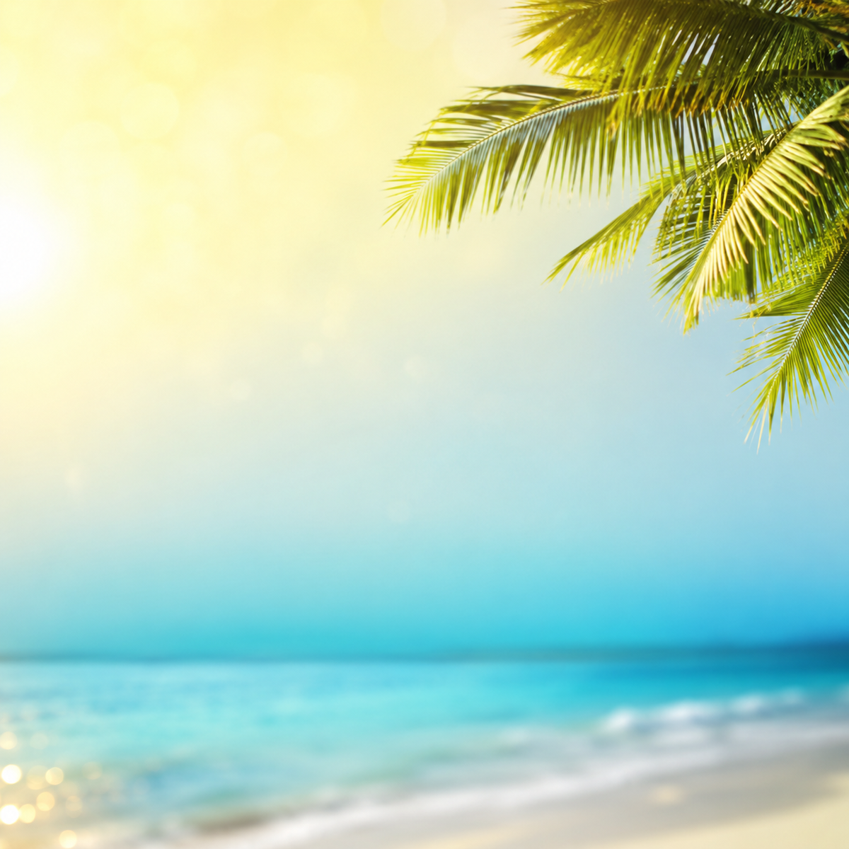Hawaiian Dream Fragrance Oil