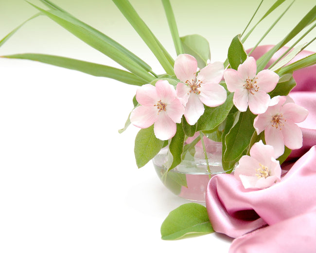 Honeysuckle Jasmine Fragrance Oil