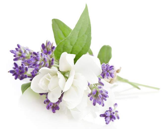 Jasmine & Lavender Fragrance Oil