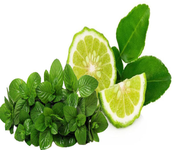 Mint Bergamot Fragrance Oil