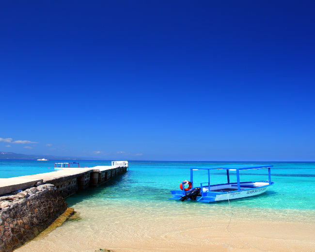 Montego Bay Fragrance Oil