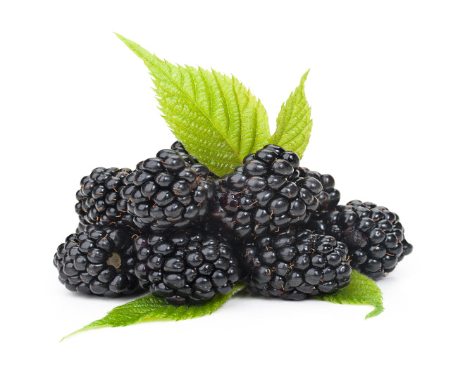 Mulberry Fragrance Oil