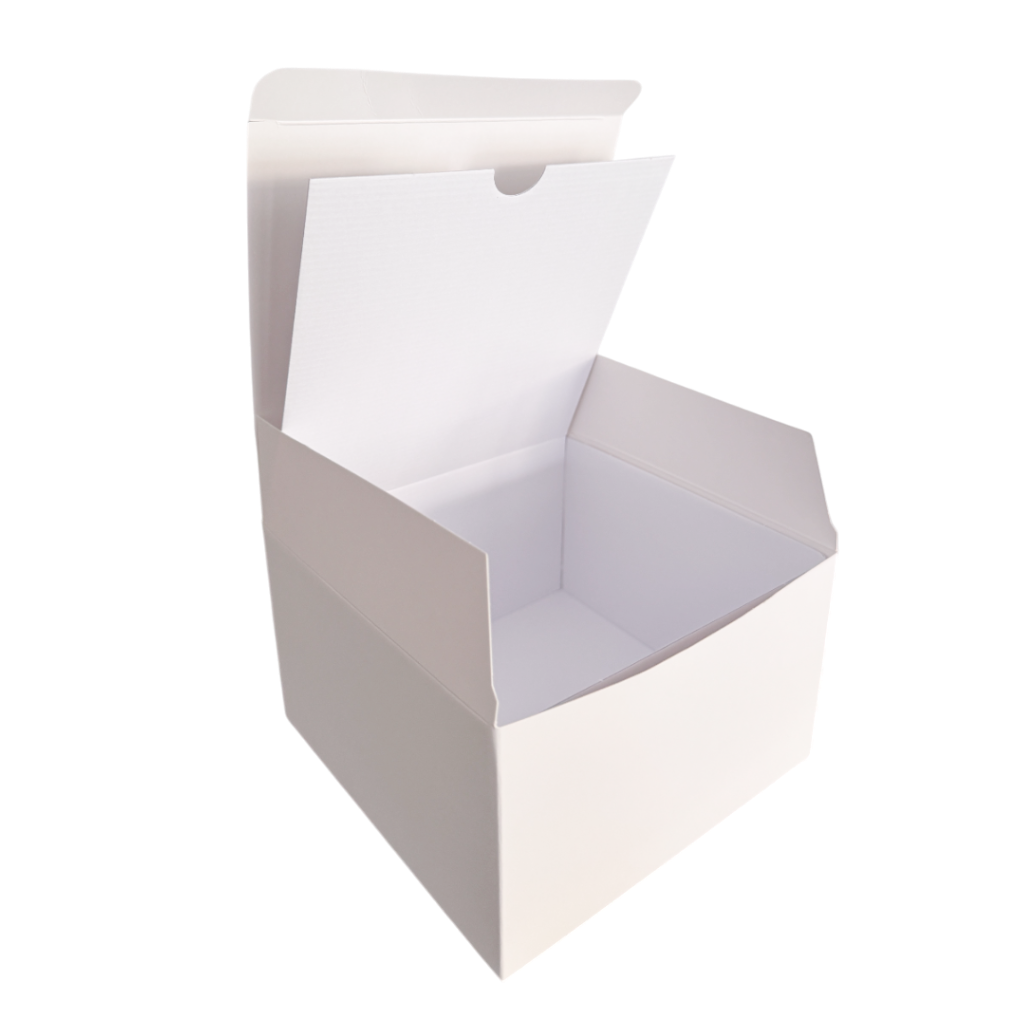 (New) Cambridge Bowl Box Matt White