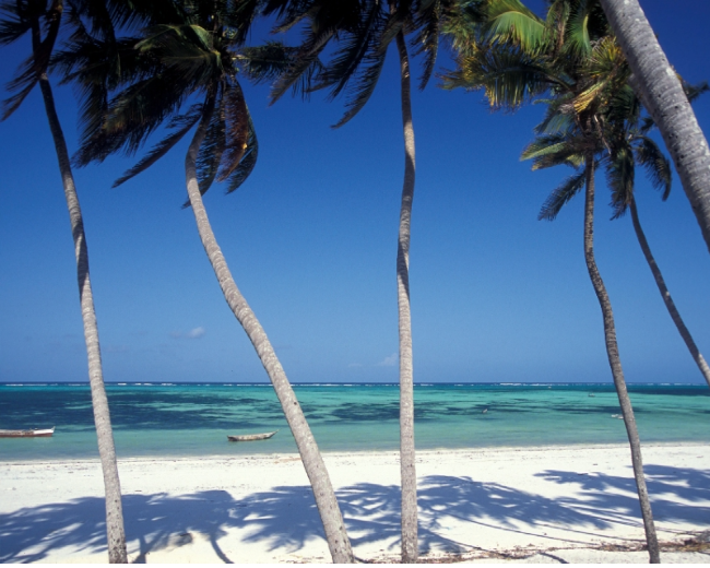 Zanzibar Fragrance Oil