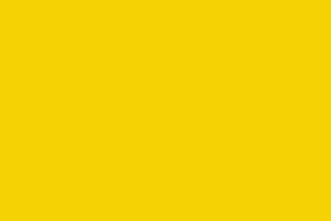 Sunflower Yellow Dye