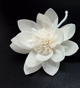 Water Lily Sola Flower 8cm