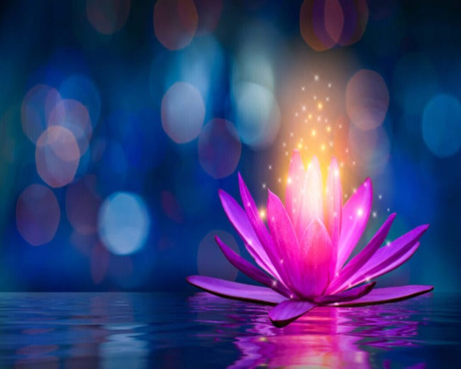 Animated White Lotus Flower with Blue Background - . . High Resolution,  Lotus Yoga HD wallpaper | Pxfuel