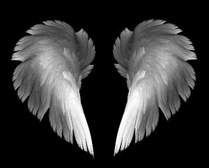 Angel Wings Fragrance Oil