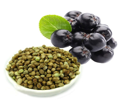 Aronia Berry & Hempseed Fragrance Oil