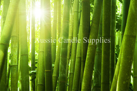 Bamboo Musk