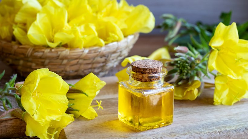 Evening Primrose Oil