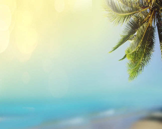 Hawaiian Dream Fragrance Oil